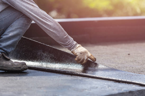 Professional Wet Basement Repair technician working in Newport, MI